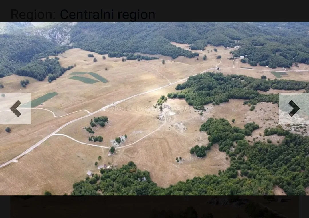 Prodaja, plac, 420000m², Miloševići, Šavnik