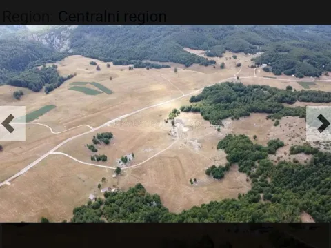 Prodaja, plac, 420000m², Miloševići, Šavnik - image 3