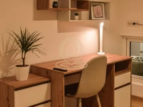 Izdavanje, dvosoban stan, 78m², Južni Bulevar, Vračar Sve Podlokacije - image 14