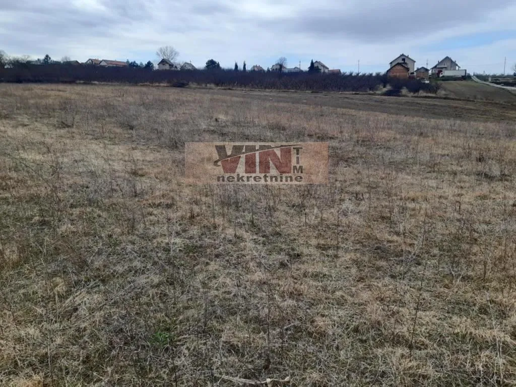 Sale, land lot, 7300m², Živkovac, Grocka