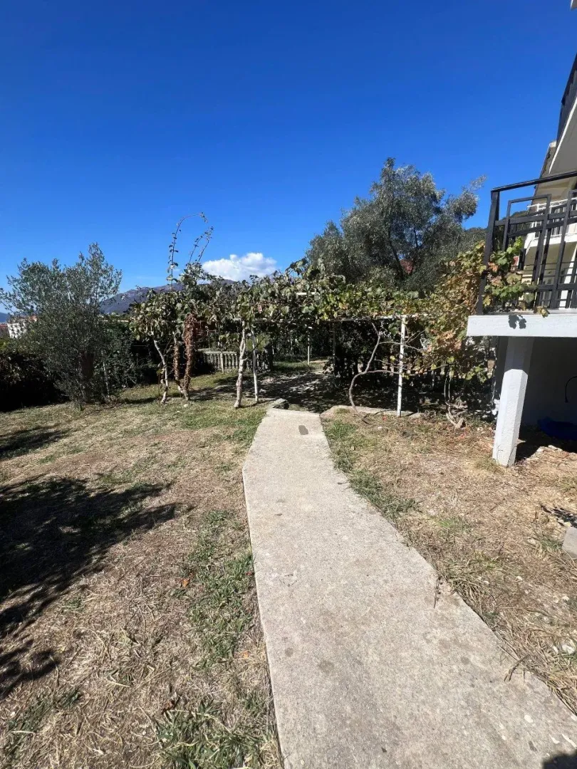 A concrete path leads through a landscaped yard with greenery and trees.