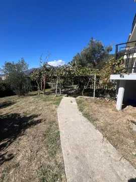 A concrete path leads through a landscaped yard with greenery and trees. - image 7