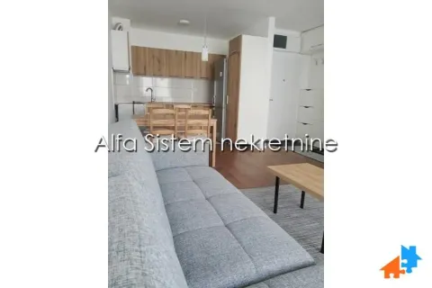 Rent, two bedroom apartment, 46m², Višnjička Banja, Palilula Sve Podlokacije - image 5
