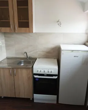 Mala kuhinja sa osnovnim aparatima i drvenim elementima. - image 3