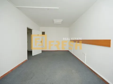 Izdavanje, poslovni prostor, 1000m², Centar, Podgorica - image 28