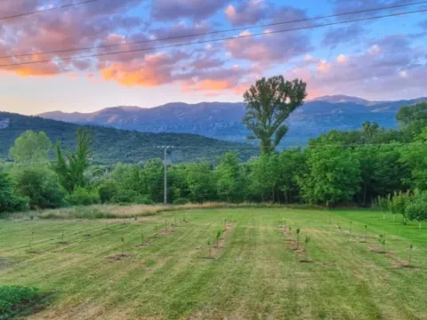 Prodaja, plac, 4400m², Centar, Danilovgrad - image 5