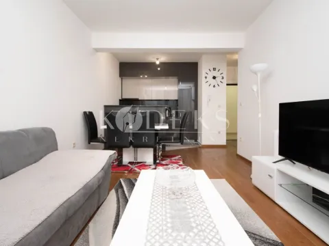 Rent, one bedroom apartment, 45m², Zabjelo, Podgorica - image 16