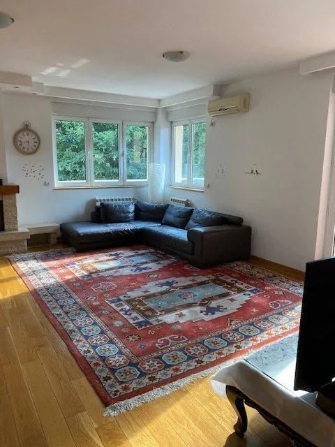 Living room with a sectional sofa, a large rug, and windows.