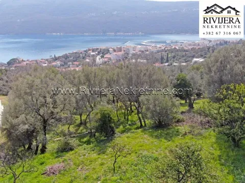 Prodaja, plac, 984m², Đenovići, Herceg Novi - image 5