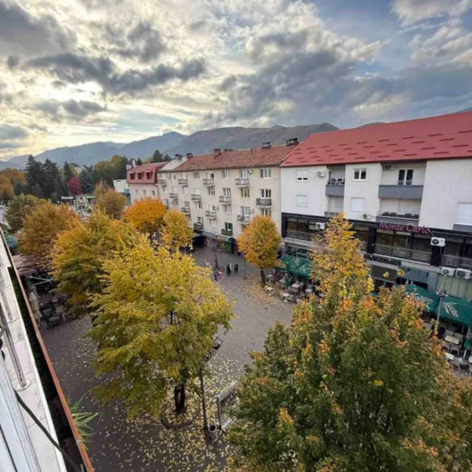 Prodaja, trosoban stan, 110m², Centar, Berane