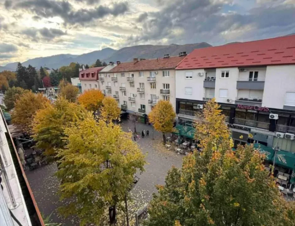 Prodaja, trosoban stan, 110m², Centar, Berane