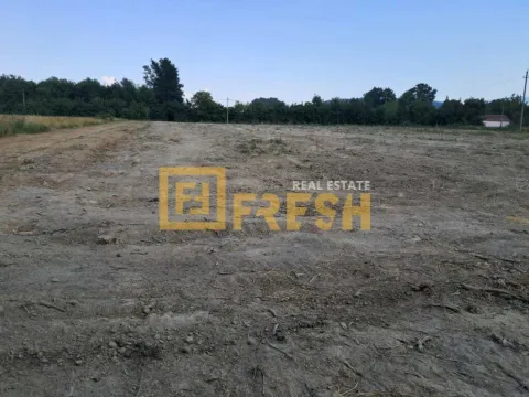 Prodaja, plac, 8300m², Danilovgrad, Crna Gora - image 5