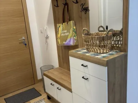 Izdavanje, dvosoban stan, 48m², Podbara, Novi Sad Sve Podlokacije - image 15