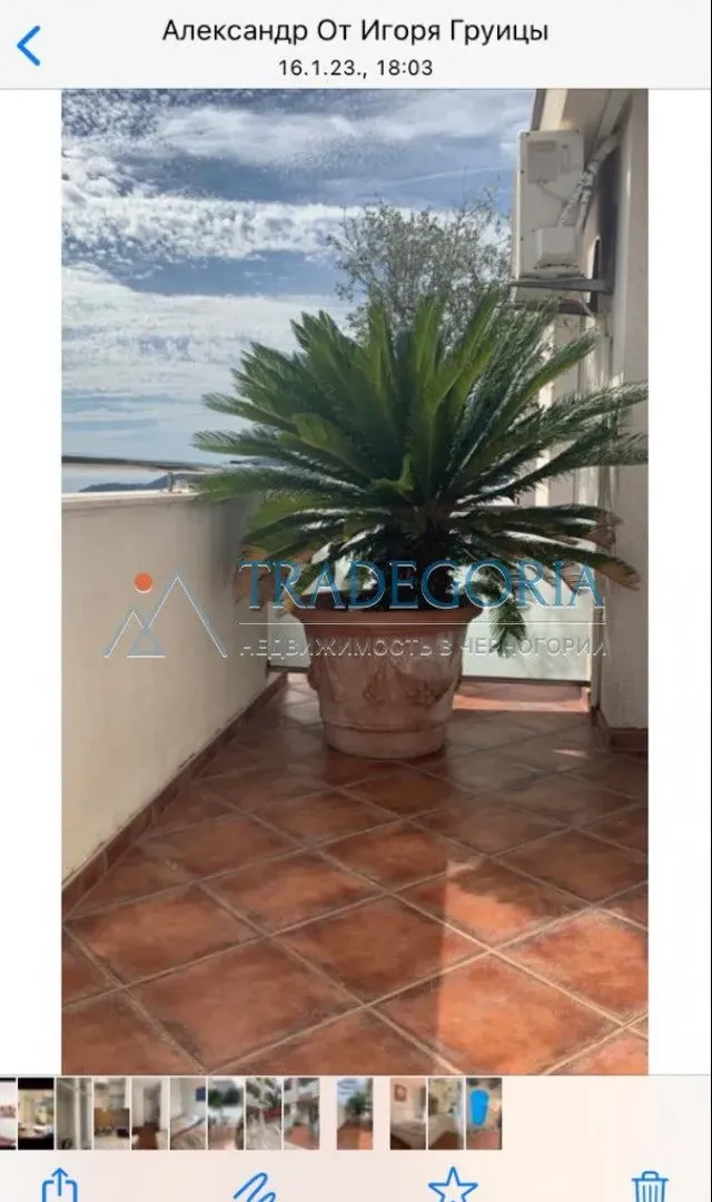 Prodaja, ugostiteljski objekat, 1200m², Bečići, Budva