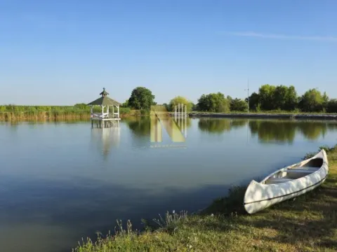 Sale, house, 230m², Srbobran, Novi Sad - image 56