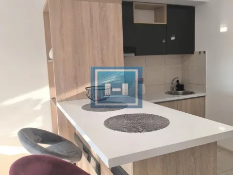 Izdavanje, stan, 37m², Centar, Paraćin - image 4