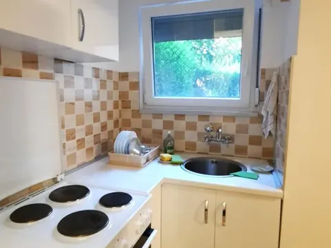 Sale, one bedroom apartment, 39m², Karaburma, Palilula Sve Podlokacije - image 5