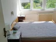 Izdavanje, dvosoban stan, 65m², Stari Merkator, Novi Beograd Sve Podlokacije - image 3