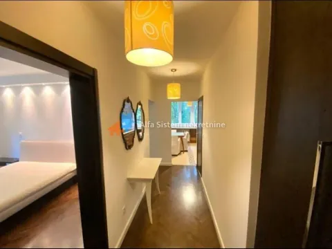 Izdavanje, dvosoban stan, 52m², Novi Beograd Sve Podlokacije, Beograd - image 6