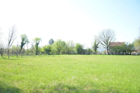 Prostrani zeleni plac okružen drvećem pod vedrim nebom. - image 4