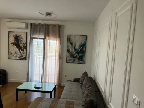 Rent, one bedroom apartment, 48m², Zabjelo, Podgorica - image 8