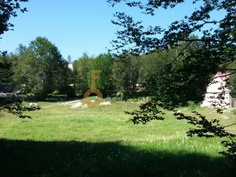 Prodaja, plac, 100000m², Cetinje, Crna Gora - image 10