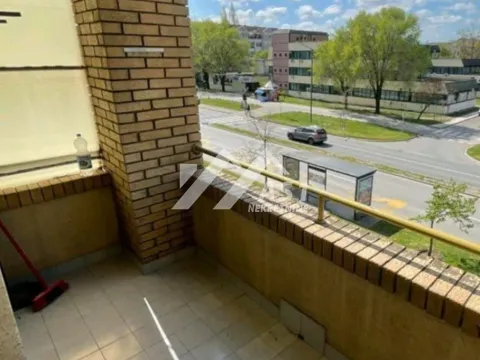 Izdavanje, jednosoban stan, 36m², Novo naselje, Novi Sad - image 8