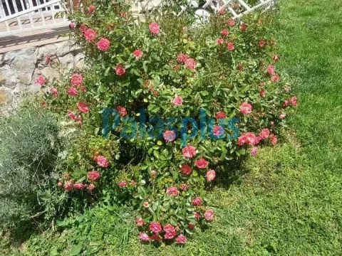 Prodaja, kuća, 337m², Stara Lipovica, Barajevo - image 3