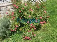 Prodaja, kuća, 337m², Stara Lipovica, Barajevo - image 3