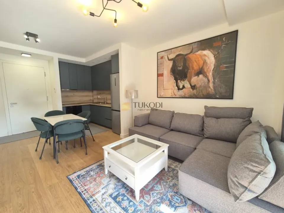 Rent, two bedroom apartment, 54m², Novi Beograd Blok 65, Novi Beograd Sve Podlokacije