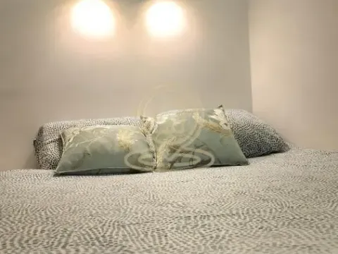 Izdavanje, jednosoban stan, 37m², Stari Grad, Beograd - image 8