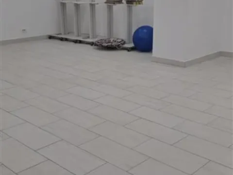 Izdavanje, poslovni prostor, 246m², Stari grad, Novi Sad - image 4