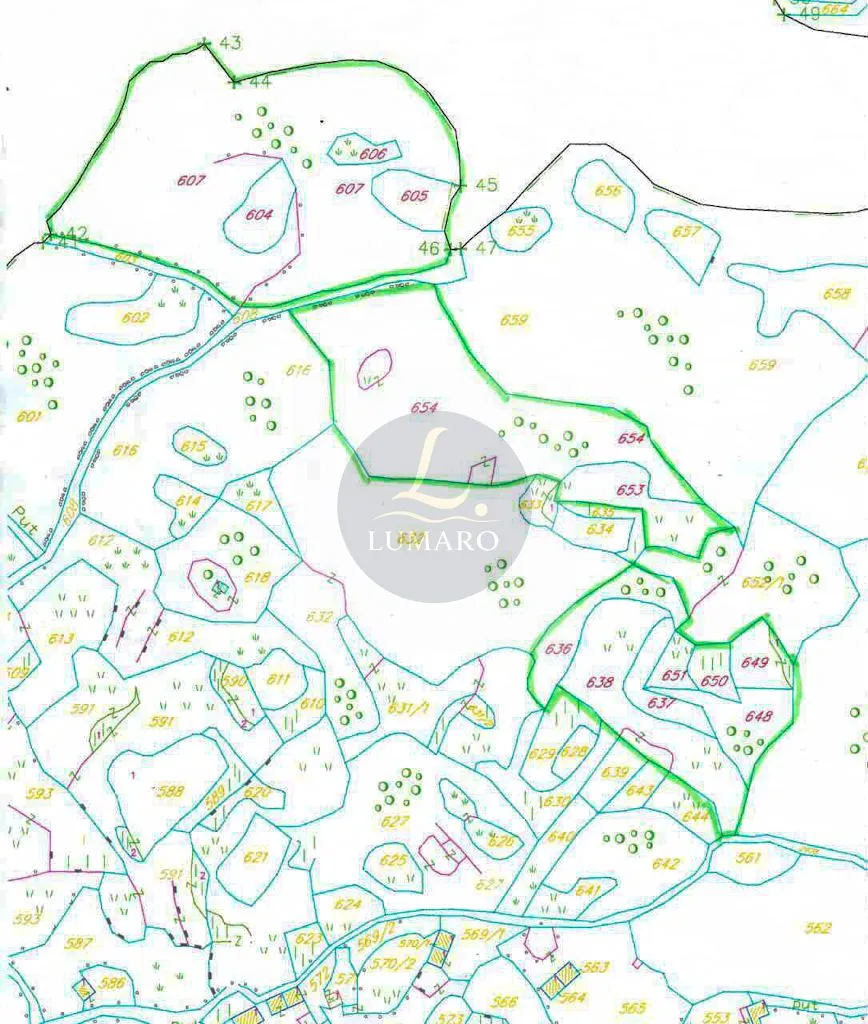 Prodaja, plac, 26000m², Komani, Podgorica