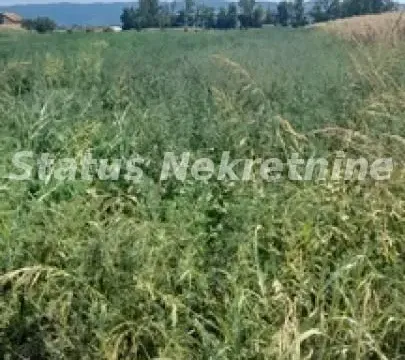 Prodaja, plac, 2876m², Futog, Novi Sad Sve Podlokacije - image 2