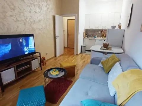 Rent, one bedroom apartment, 41m², Vezirov Most, Podgorica - image 3