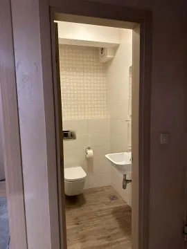 Pogled kroz vrata na uređeno kupatilo sa sanitarijama. - image 10
