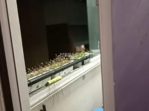 Prodaja, jednosoban stan, 37m², Zvezdara Sve Podlokacije, Beograd - image 13