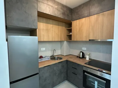 Izdavanje, jednosoban stan, 40m², Central Point, Podgorica - image 4
