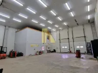 Izdavanje, poslovni prostor, 1200m², Čenej, Novi Sad Sve Podlokacije - image 2