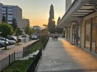 Izdavanje, poslovni prostor, 46m², Zabjelo, Podgorica - image 1