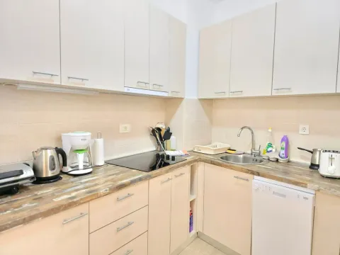 Rent, one bedroom apartment, 47m², Budva, Crna Gora - image 11