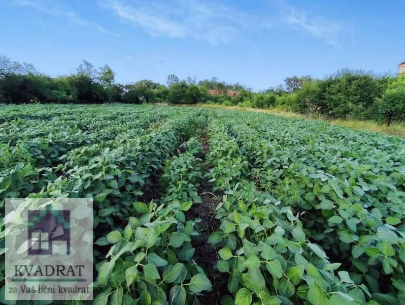 Prodaja, plac, 5500m², Obrenovac, Beograd