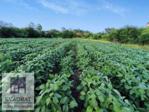 Prodaja, plac, 5500m², Obrenovac, Beograd - image 1