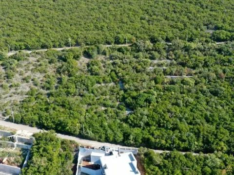 Sale, land lot, 1130m², Višnjevo, Kotor - image 6