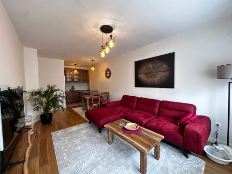 Izdavanje, jednosoban stan, 50m², Central Point, Podgorica - image 1