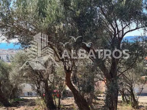 Prodaja, plac, 800m², Marovići, Bar - image 3