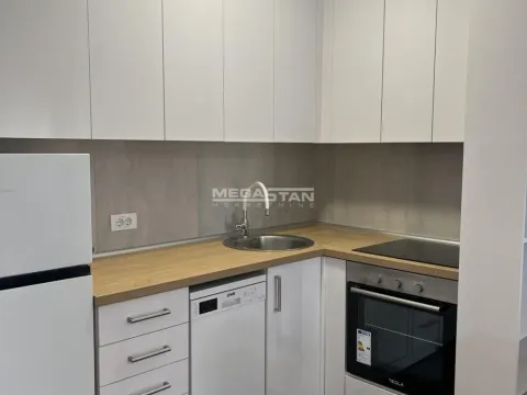 Rent, one bedroom apartment, 43m², Južni Bulevar, Vračar Sve Podlokacije - image 6