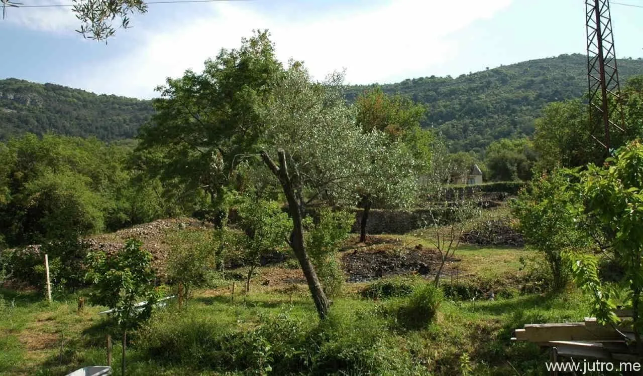 Sale, land lot, 1554m², Kavač, Kotor