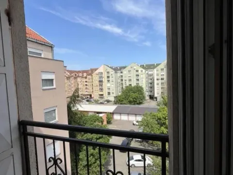 Rent, one bedroom apartment, 36m², Nova Detelinara, Novi Sad Sve Podlokacije - image 12