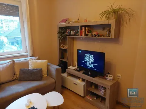 Izdavanje, dvosoban stan, 70m², Centar, Paraćin - image 1